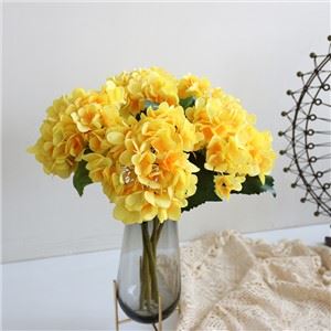 Hydrangea falske blomster