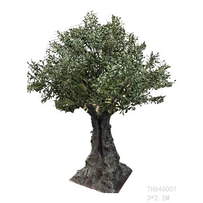 Hvorfor velger folk våre store oliventrær?